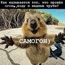 ���� �����, ������, 32 ���� - ��������� 12 ������� 2026