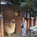 ���� �����, �����-���������, 56 ��� - ��������� 1 ������� 2025