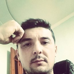 ���� Sultan, �������, 34 ���� - ��������� 28 ��� 2026
