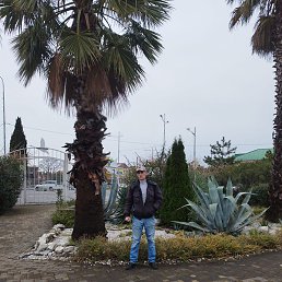 �������, ����, 55 ���