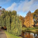���� ��������, ���� - ��������� 24 �������� 2026 � ������ ���� ����������