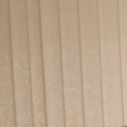 ����, ����, 49 ���