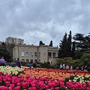 ���� **��������**, ������� - ��������� 28 ������� 2025 � ������ ���� ����������