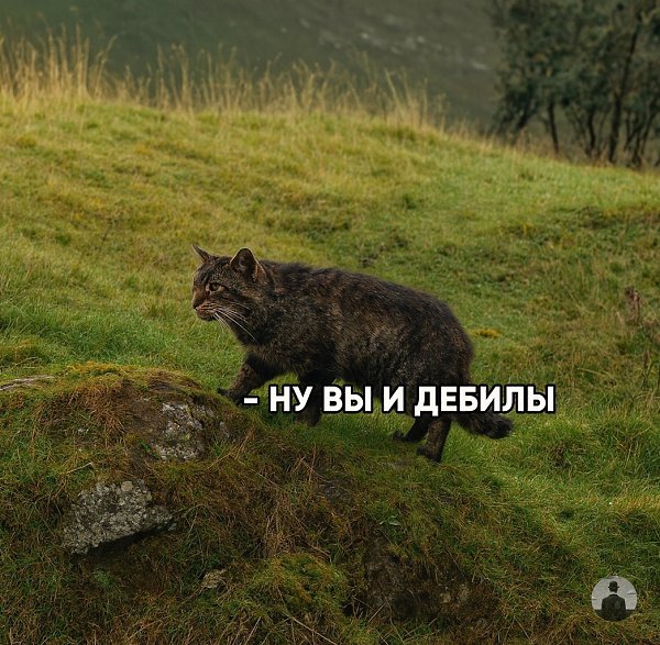� ���������� �������� ������� �������� ����� ���������, ������� ��������� ��� ������� ������� ... - 2