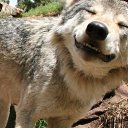 ���� ������, �����-��������� - ��������� 4 ������� 2025 � ������ ���� ����������