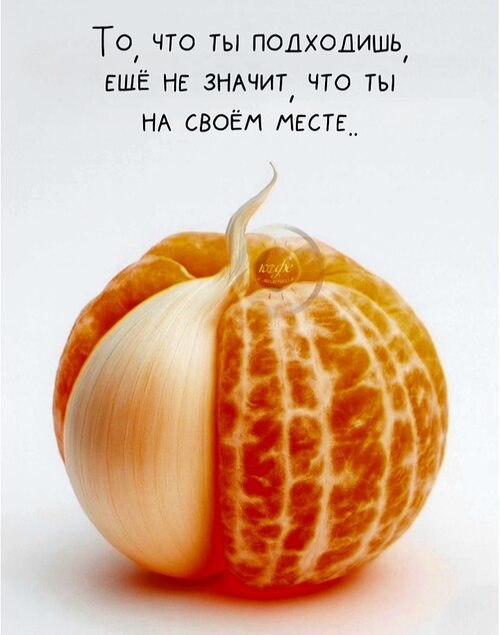   - 3  2025  16:34