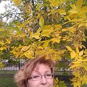 ���� ����, ���������, 59 ��� - ��������� 27 ������ 2024 � ������ ���� ����������