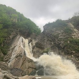 ���� �����, ��������, 40 ��� - ��������� 6 ������ 2024