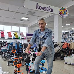 , 61, 