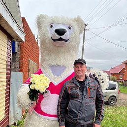 ���, 44 ����, ����������