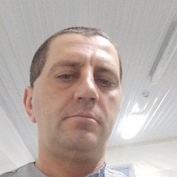 �������, ������, 36 ���