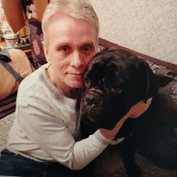 , 55 , -