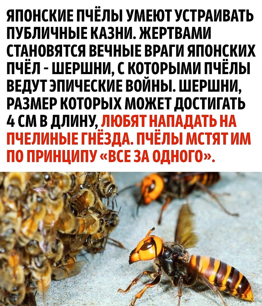      - 2