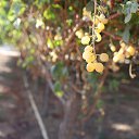 ���� ������, ������-��-����, 43 ���� - ��������� 28 ������ 2025 � ������ ������ ��������