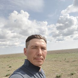, 34, 