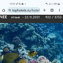 ���� �����, ����������� - ��������� 26 ������ 2024 � ������ ������ ��������