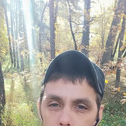 �������, ���������, 40 ���