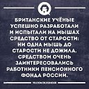 ���� ����, ������� - ��������� 2 ������ 2025 � ������ ������ ��������