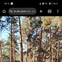  Konstantin, , 43  -  15  2025    