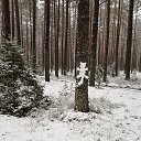 ���� ����, �����, 48 ��� - ��������� 16 ������ 2024 � ������ ������ ��������