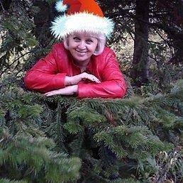 ������� � 271, �����������