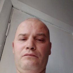 �������, 37 ���, ������