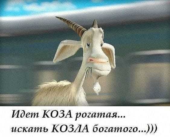 :) , , , , .    ! )))