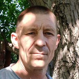 Denies, ������, 43 ����