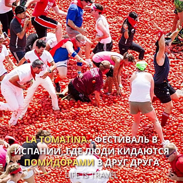       , ,   La Tomatina,    ...