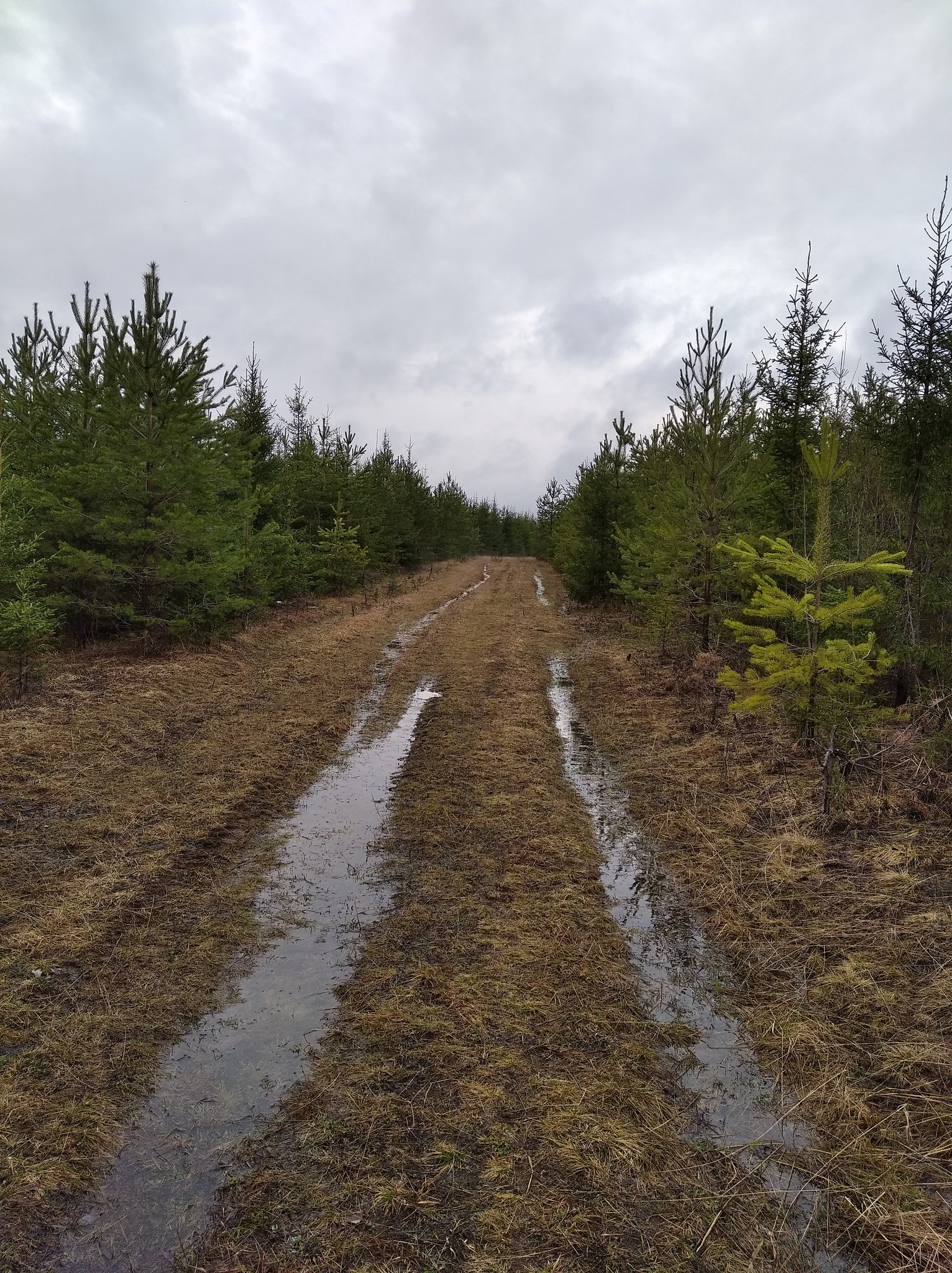 ���� - 16 ��� 2024 � 21:24