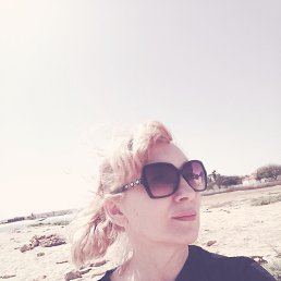 ����, �������, 49 ���