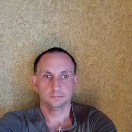 , 41, 