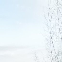 ������, ��������, 46 ���