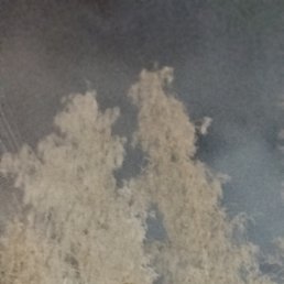 �����, ����������, 51 ���