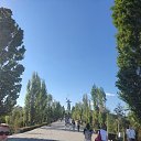 ���� ����, �����������, 31 ��� - ��������� 9 ������� 2026