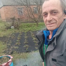 ���� �����, ������, 56 ��� - ��������� 17 ������ 2026