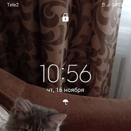 ���� �����, ������, 52 ���� - ��������� 24 ������ 2023