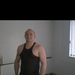 ������, 40 ���, �������