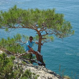 ***���������***, �����