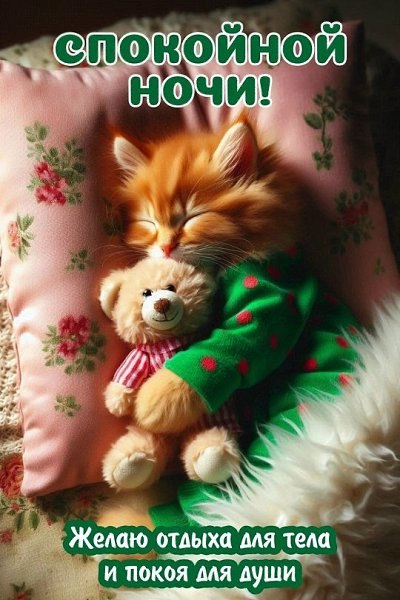 ��� ���� - 23 ������� 2025 � 00:35