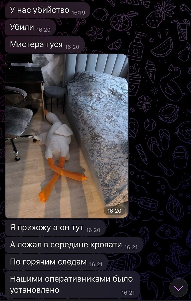  - 29  2025  20:52