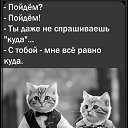 ���� ��������, ����� - ��������� 11 ������� 2023 � ������ ���� ����������
