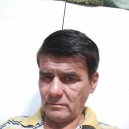 ���� �����, ���������, 56 ��� - ��������� 24 ������ 2023