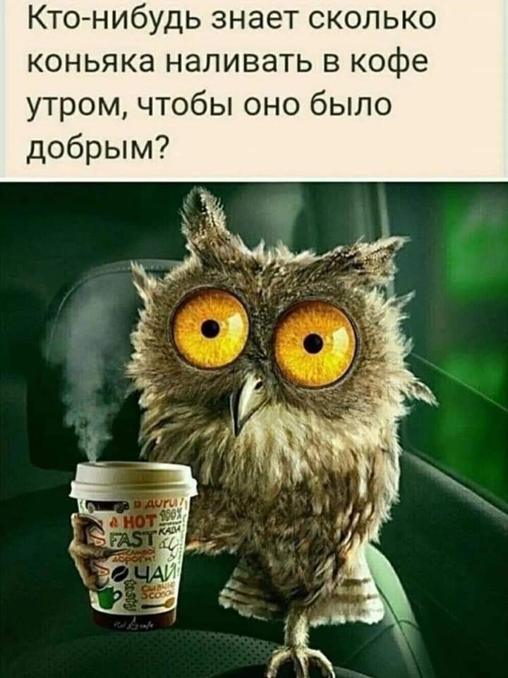   - 12  2025  14:56