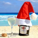 ���� ����, ���������, 43 ���� - ��������� 11 ������� 2024 � ������ ���� ����������