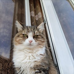 �, ������, 39 ���