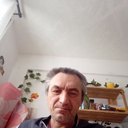 ����, 48 ���, ������