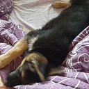 ���� ���, ������ - ��������� 17 ������ 2025 � ������ �������