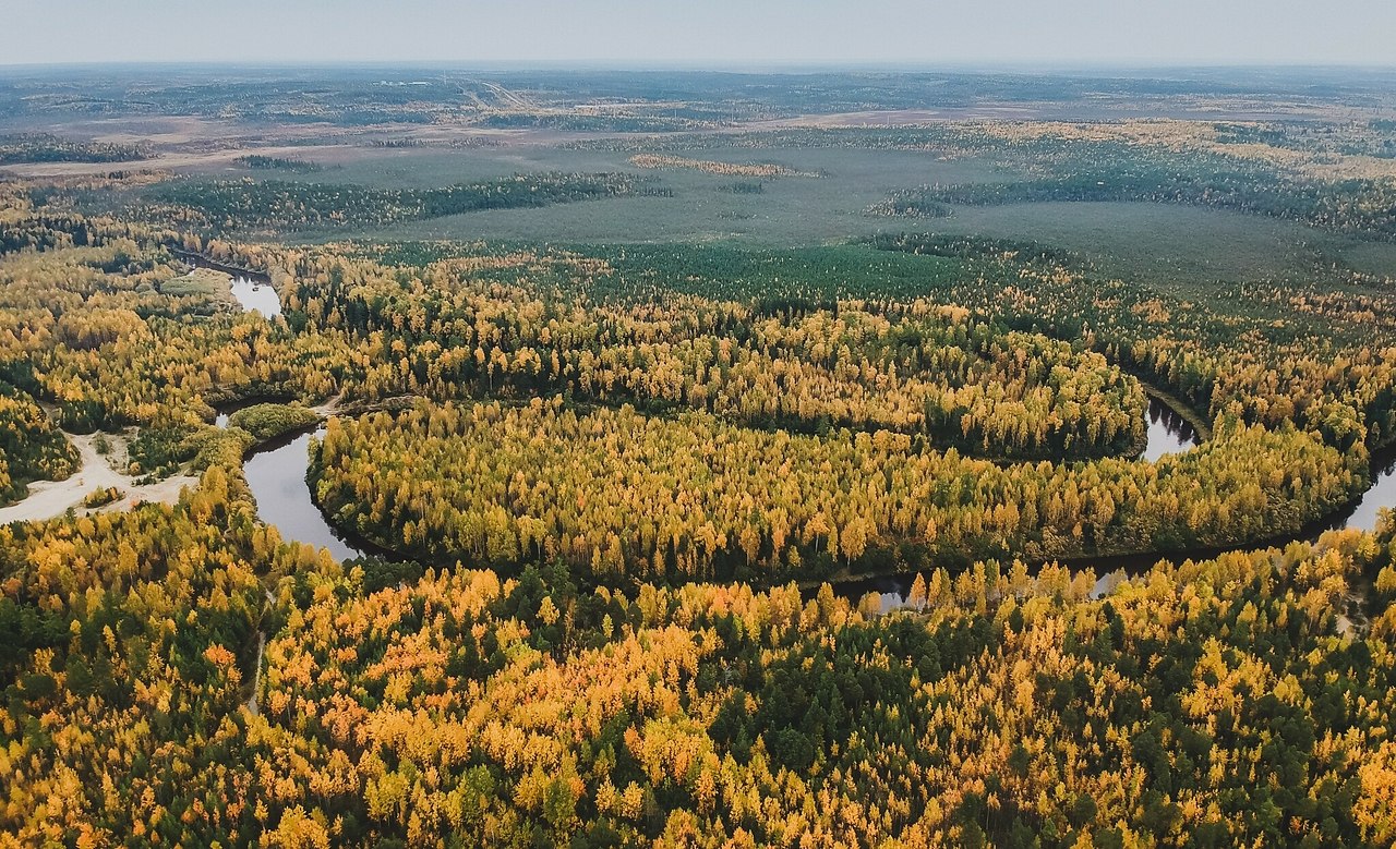 . 1954    -     ( ). ... - 39