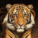 ���� ����, �������� - ��������� 1 ������� 2025